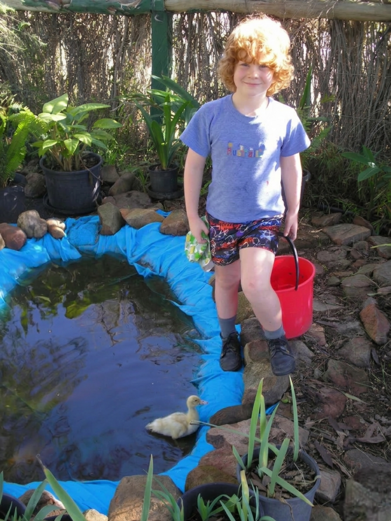 Young redhead boy standing by a small pond with a duckling on a sunny farm.