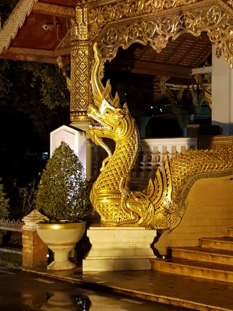 A night photograph of a golden Naga serpent statue guarding the staircase entrance of a traditional Northern Thai Lanna-style temple. The intricate sculpture features detailed gold metallic scales, a stylized crest, and an open mouth. The background showcases an ornate, carved golden wooden pavilion and pillars illuminated under warm night lights, beside a manicured green shrub in a white and gold ceramic pot.